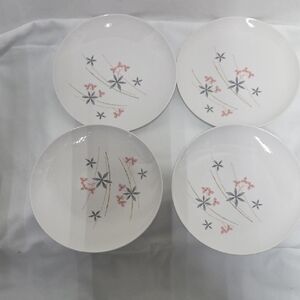 Franciscan 'Happy Talk' Salad Pkates, Set Of 4